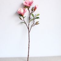 Cành Hoa Mộc Lan Giả