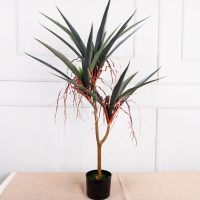 Cây Huyết Dụ Giả – 3 Nhánh