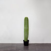 Xương rồng kim lăng trụ giả 65 cm