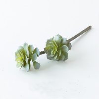 Cành cây sen đá giả