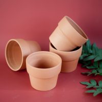 Chậu đất nung ly gờ