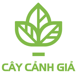 cropped-logo-plant.png