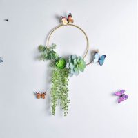 Vòng Cây Sen Đá Trang Trí