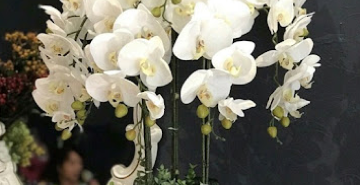 Hoa lan ho diep gia - Những kinh nghiệm mua hoa giả trang trí đẹp không thể bỏ qua