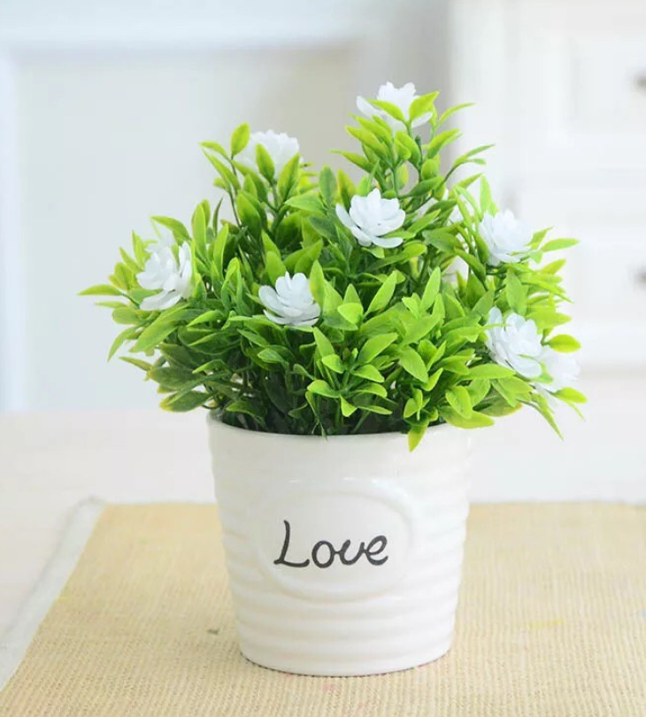 Cây cảnh giả trang trí