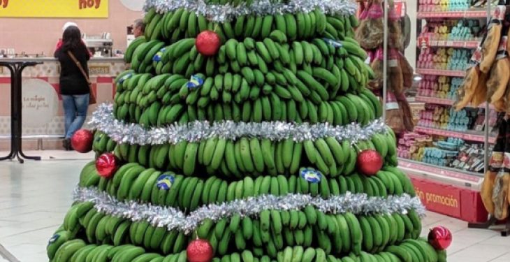 Trang Trí Cây Chuối Noel Ấn Độ Độc Đáo Mot so hinh anh cua Thap Cay Chuoi Noel An Do - Trang Trí Cây Chuối Noel Ấn Độ Độc Đáo