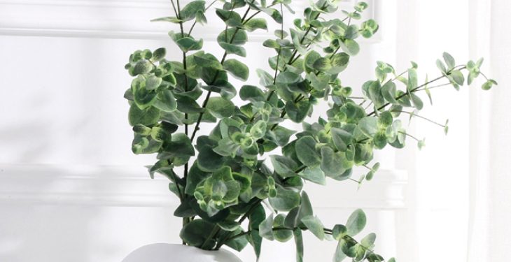 Xu hướng trang trí Minimalism với lá cây La Do La Bac voi xu huong trang tri Minimalism - Xu hướng trang trí Minimalism với lá cây