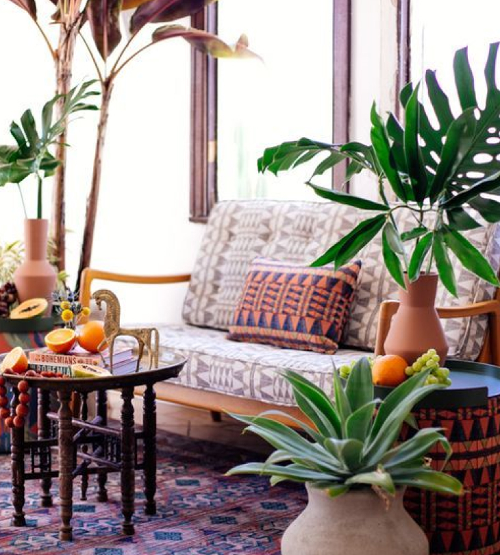 Cây cảnh giả trang trí