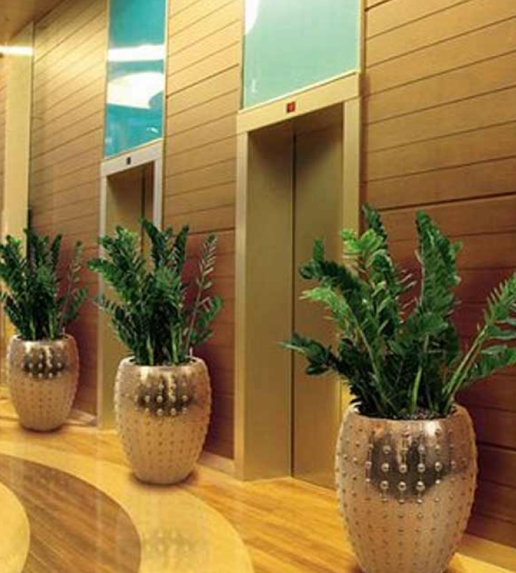 Cây cảnh giả trang trí