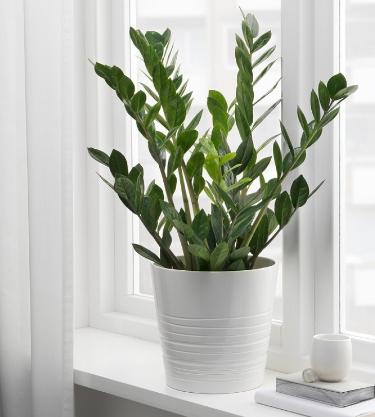 Cây cảnh giả trang trí