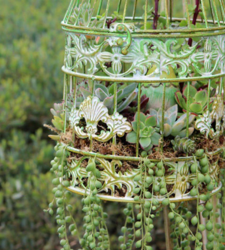 Cây cảnh giả trang trí