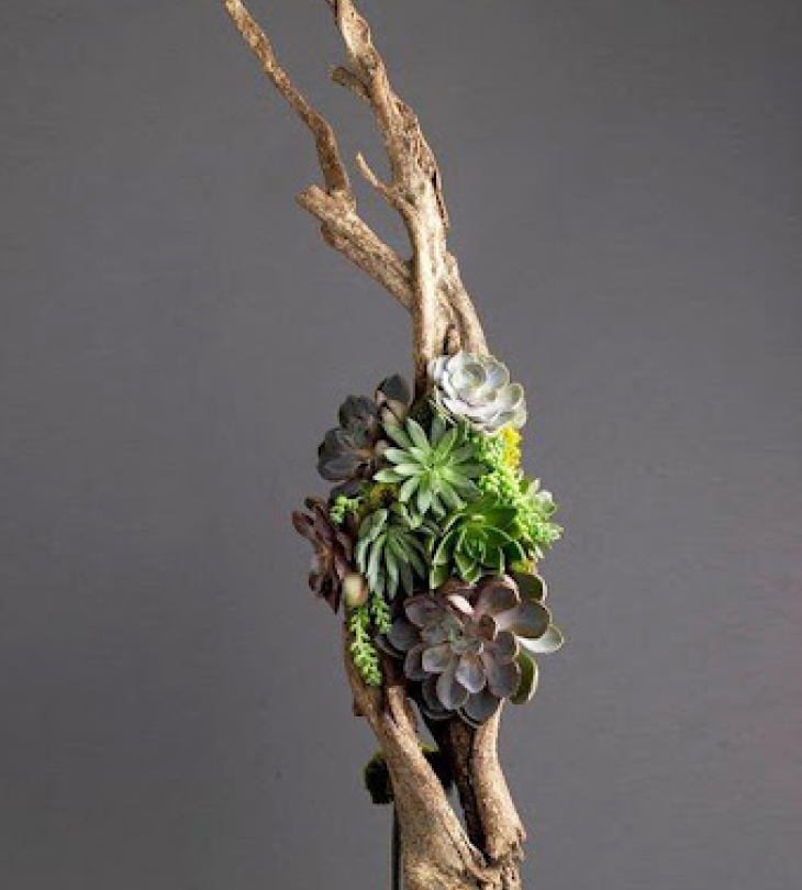 Cây cảnh giả trang trí