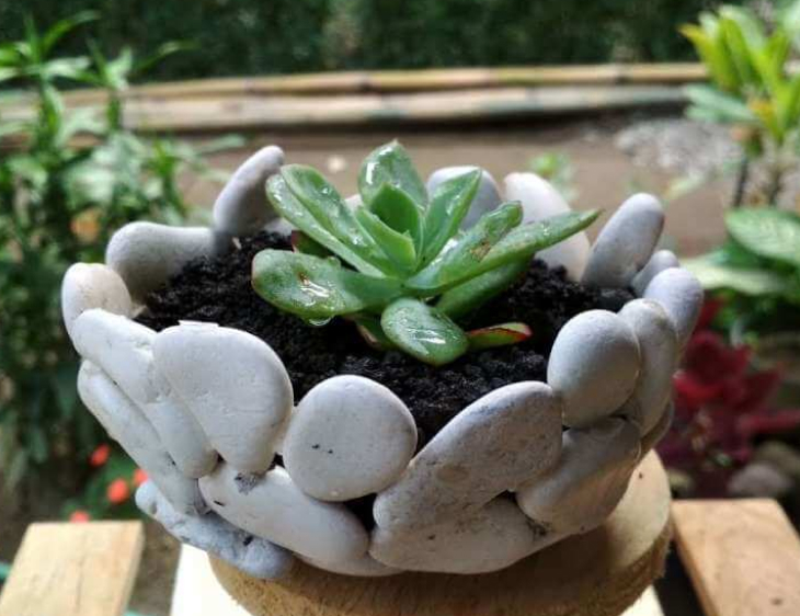 Cây cảnh giả trang trí