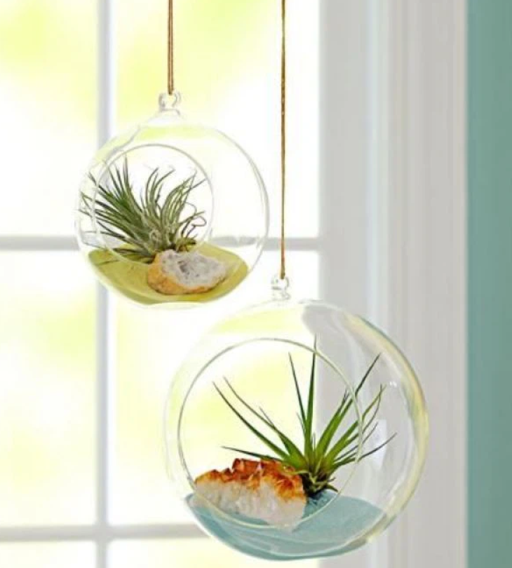 Cây cảnh giả trang trí