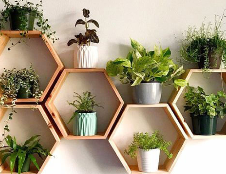 Cây cảnh giả trang trí