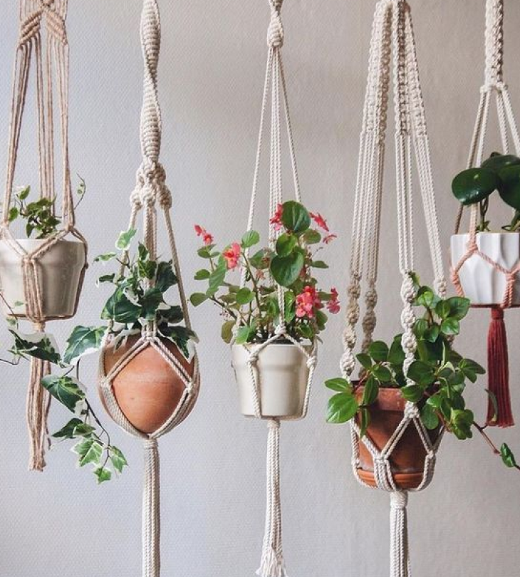 Cây cảnh giả trang trí