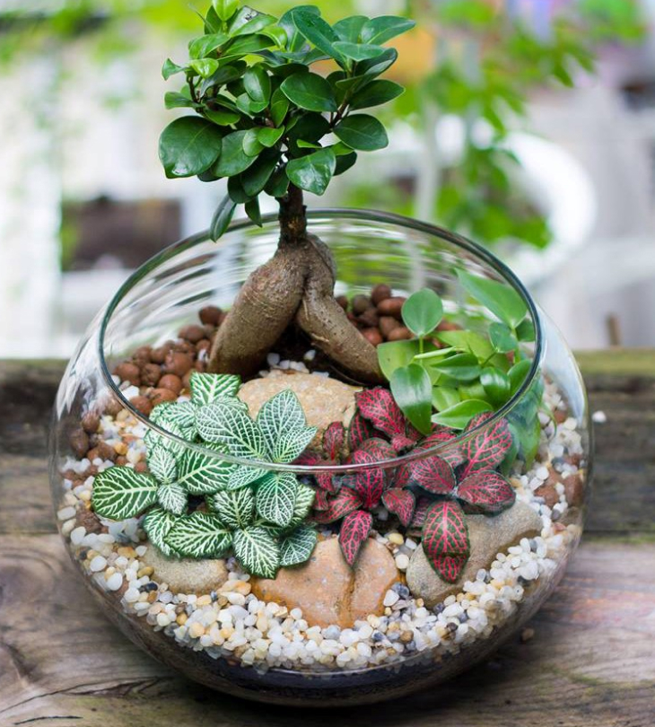 Cây cảnh giả trang trí