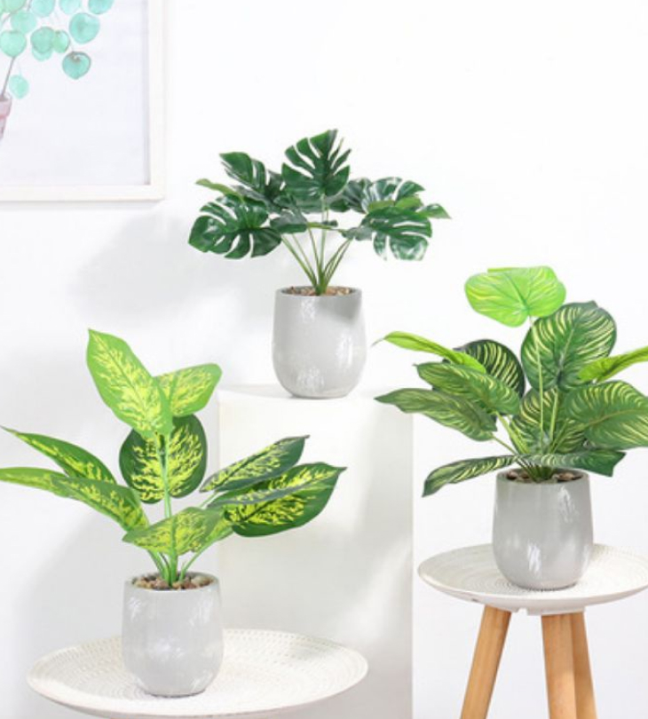 Cây cảnh giả trang trí