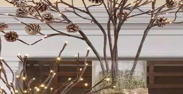 Trang trí Noel với cành cây khô là một cách tuyệt vời để giữ cho không gian của bạn ấm cúng và đầy lãng mạn trong dịp lễ. Bạn có thể sử dụng những cành cây khô để tạo ra những trang trí độc đáo hoặc cắm chúng vào các chậu cây để tăng thêm tính thẩm mỹ cho nhà cửa của bạn.