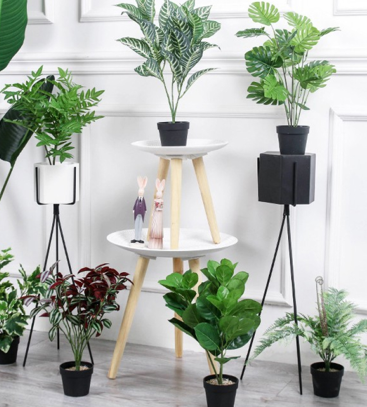 Cây cảnh giả trang trí