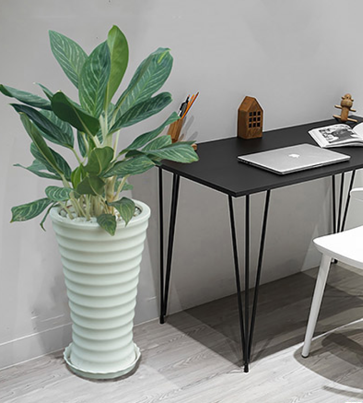 Cây cảnh giả trang trí