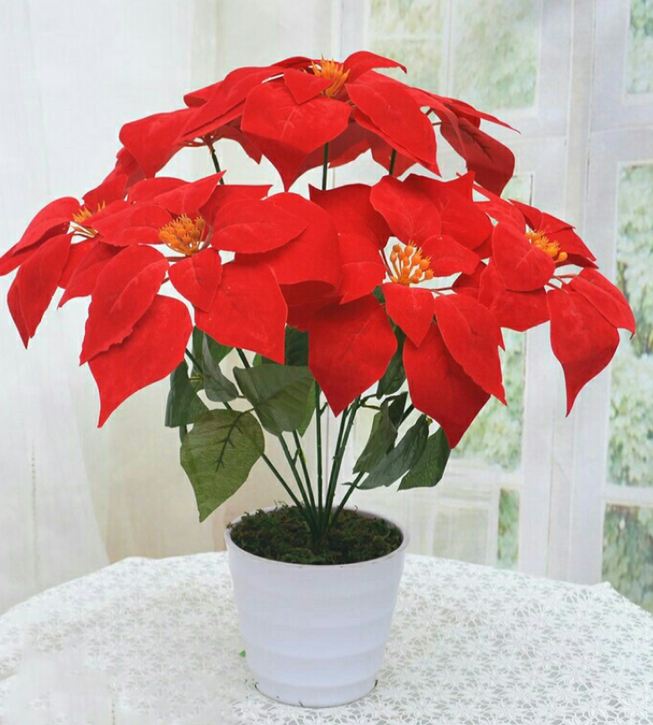 Cách cắm hoa ngày Tết Chau trang nguyen - Cách cắm hoa ngày Tết