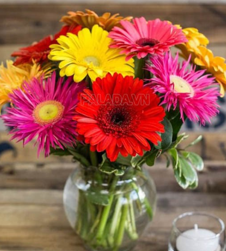 Cách cắm hoa ngày Tết Cach cam hoa ngay Tet1 - Cách cắm hoa ngày Tết