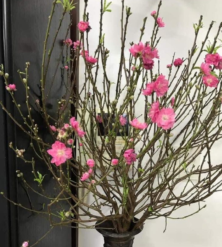 Cách cắm hoa ngày Tết Cach cam hoa ngay Tet - Cách cắm hoa ngày Tết