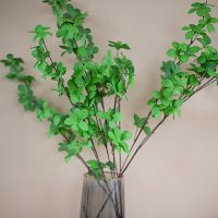 Cành cây thạch nam giả