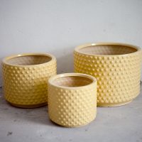 Chậu men sứ màu vàng vân hột tròn