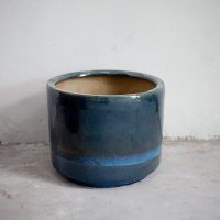 Chậu gốm sứ màu xanh trồng cây