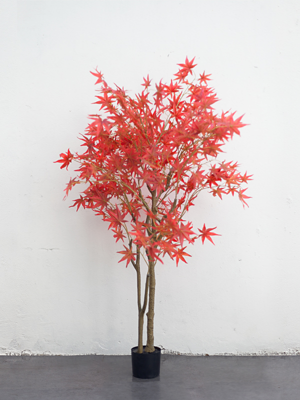CC413 - Cây Phong Lá Đỏ Giả - 150 cm CC413 - Cây Phong Lá Đỏ Giả - 150 cm