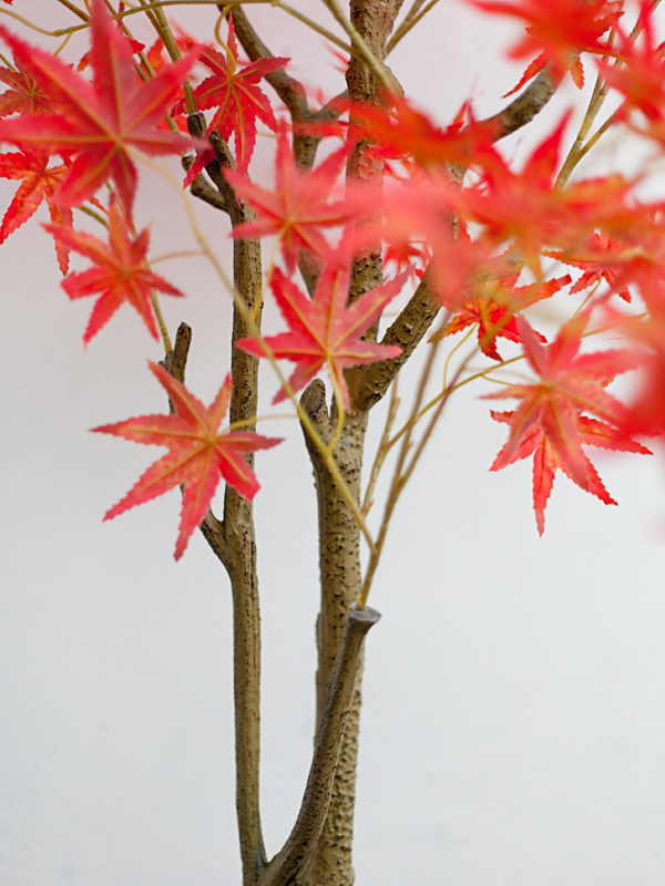 CC413 2 - Cây Phong Lá Đỏ Giả - 150 cm CC413 2 - Cây Phong Lá Đỏ Giả - 150 cm