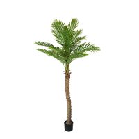 Cây Cau Vua Giả 150cm