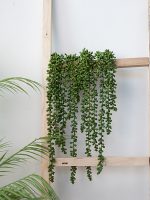 Nhánh cây mọng nước giả treo tường