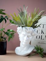 Chậu đất nung trồng cây Adam