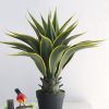 Cây Thùa Giả – 65 cm trang trí nội thất