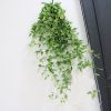 Dây liễu rủ lá xanh giả treo trường