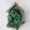 Cây Dưa Hấu Giả Kèm Khung Nhà Gỗ