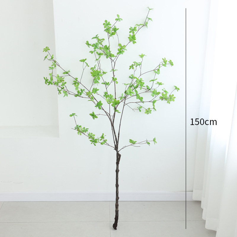 cành cây thạch nam giả