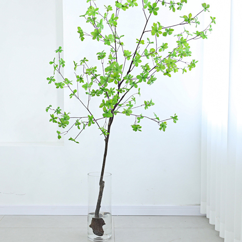 cành cây thạch nam giả
