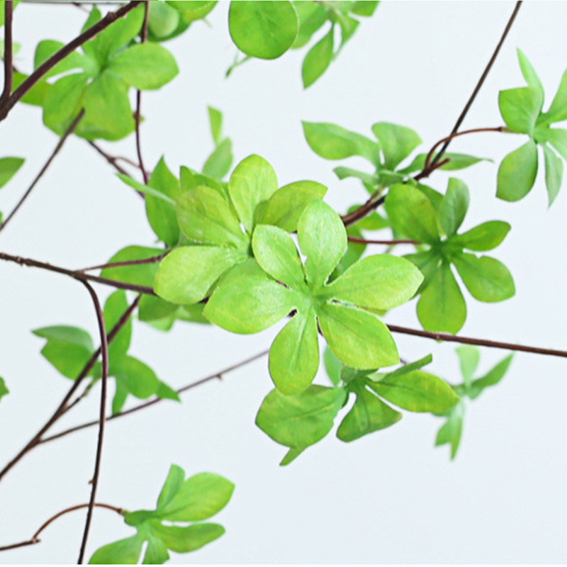 cành cây thạch nam giả