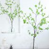 Cành Cây Thạch Nam Giả Trang Trí Bình Hoa