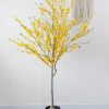 Cây Mai Vàng Mỹ Giả – 160cm