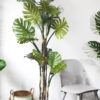Cây monstera thân gỗ giả 180 cm Cây monstera thân gỗ giả 180 cm