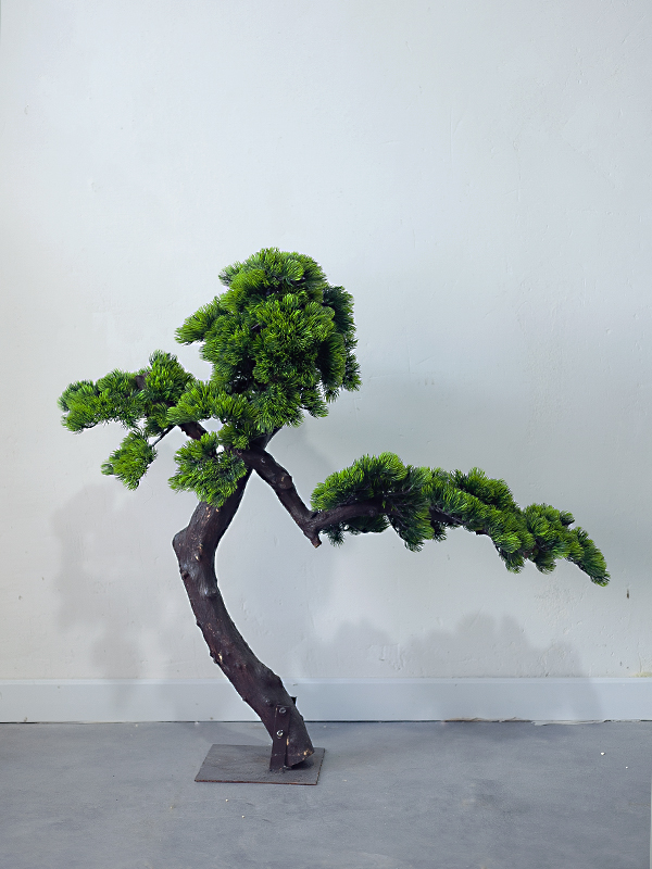 Cây bonsai giả