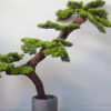 Cây bonsai giả