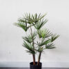 Cây cọ giả 65 cm