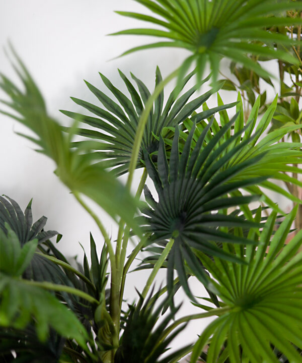 cây cọ kiểng giả