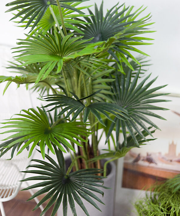 cây cọ kiểng giả